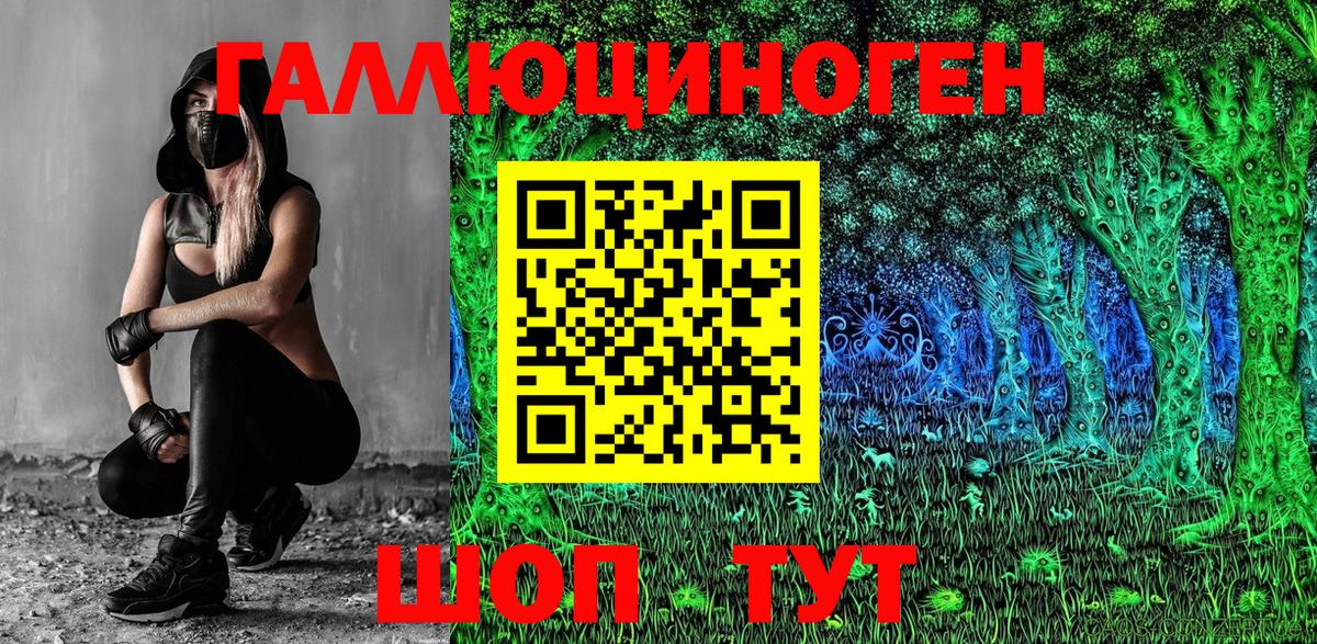 Будённовск  Псилоцибиновые грибы прущие грибы  Вход с VPN  где купить   Галлюциногенные грибы GOLDEN TEACHER 